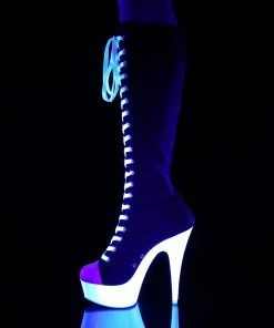 Pleaser 6” Heels Delight 2000SK-02